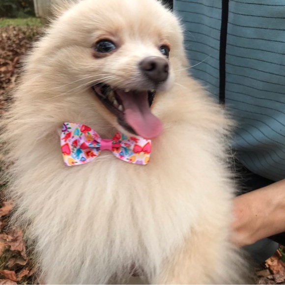 π§Ώ20 SHARES MAXIMUMπ§Ώ - Picture 3 of 6